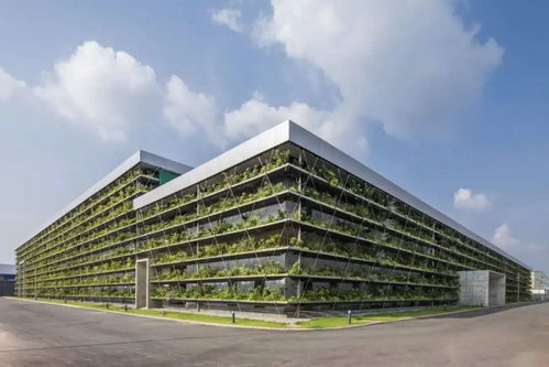 Jakob工廠的植物墻 建筑裝飾業的綠色革命