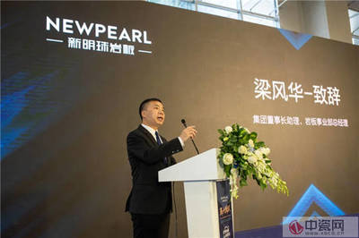 新明珠3.5mm纖薄巖板“雕刻時光”高定展首發，引領建筑裝飾行業新紀元
