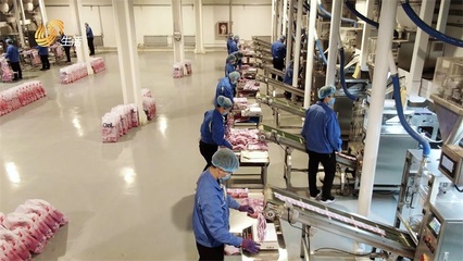 特絲麗化工 踐行環(huán)保理念，打造綠色護(hù)膚品制造新標(biāo)桿